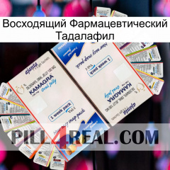 Восходящий Фармацевтический Тадалафил kamagra1